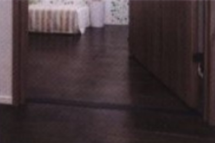 シティテラス横濱戸塚のフラット設計